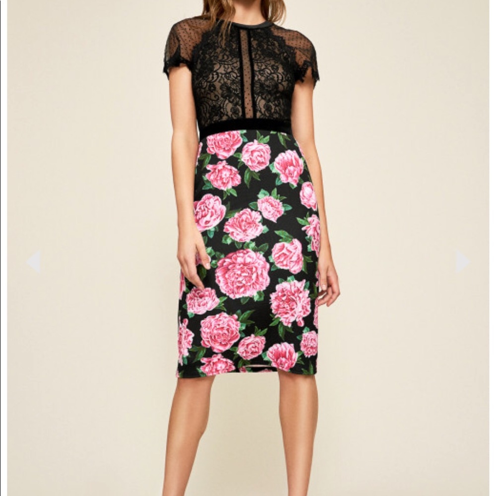 Tadashi Shoji Rosta Floral Print Dress